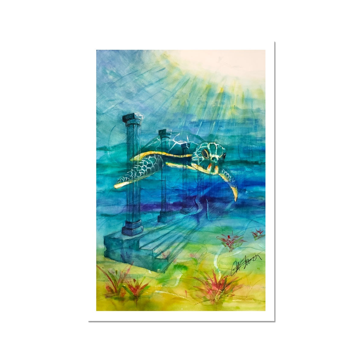 "Loggerhead Landing"